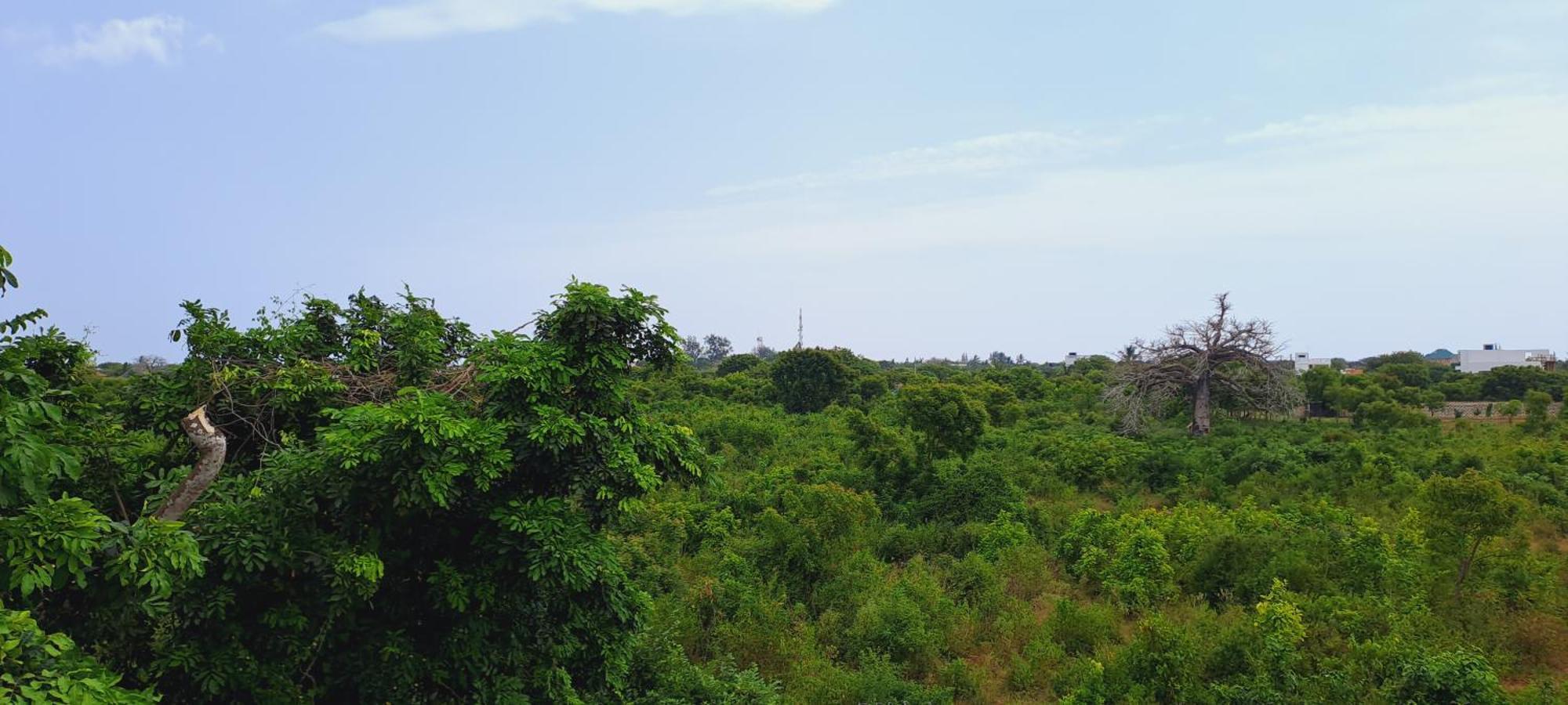 Cave Diani Holiday Apartments Діані-Біч Екстер'єр фото