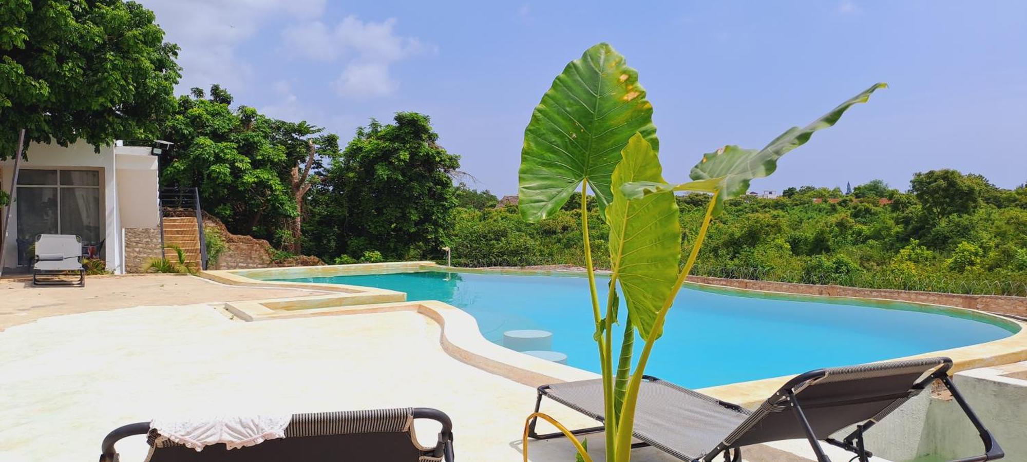 Cave Diani Holiday Apartments Діані-Біч Екстер'єр фото